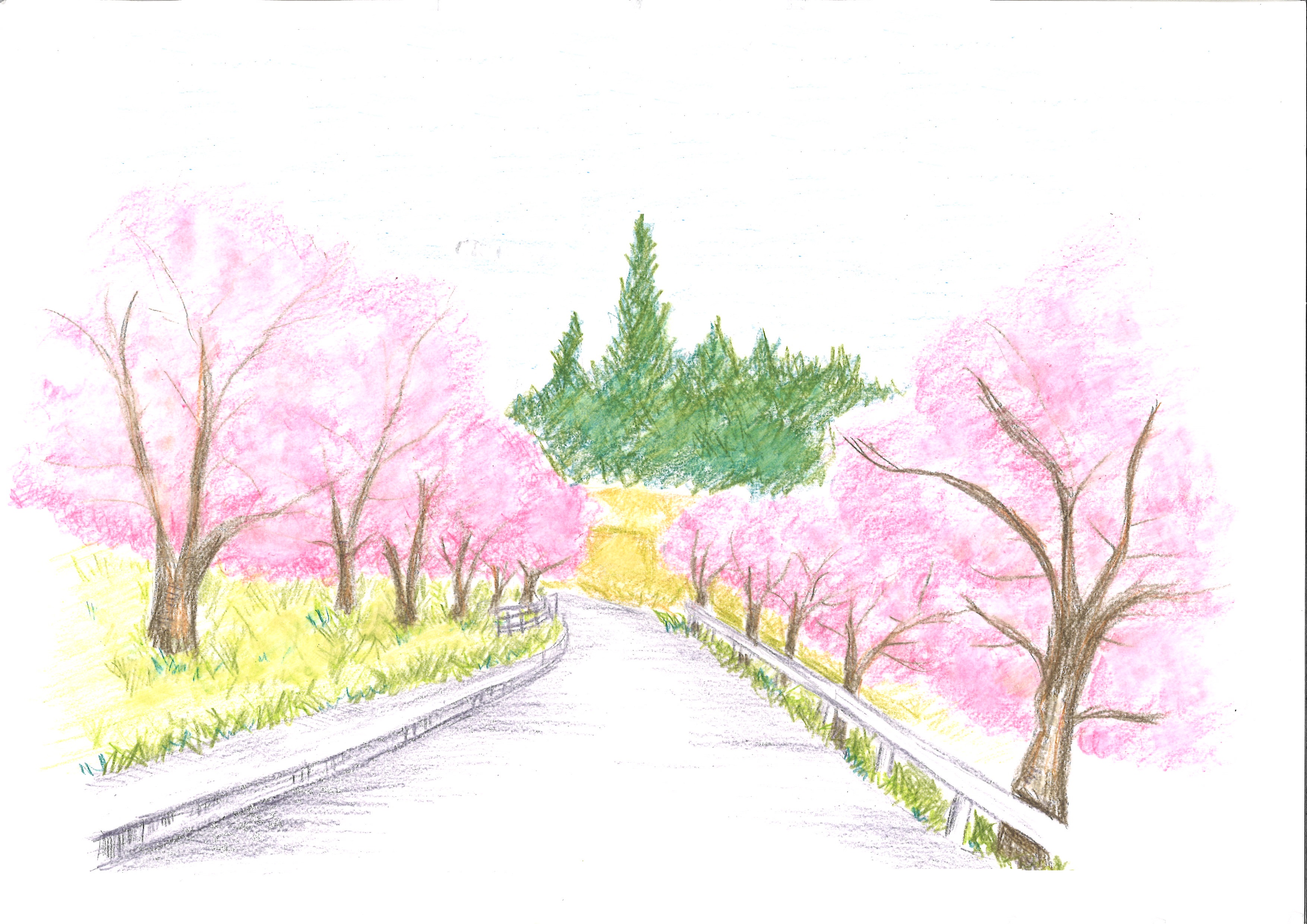 桜開花まで・・・