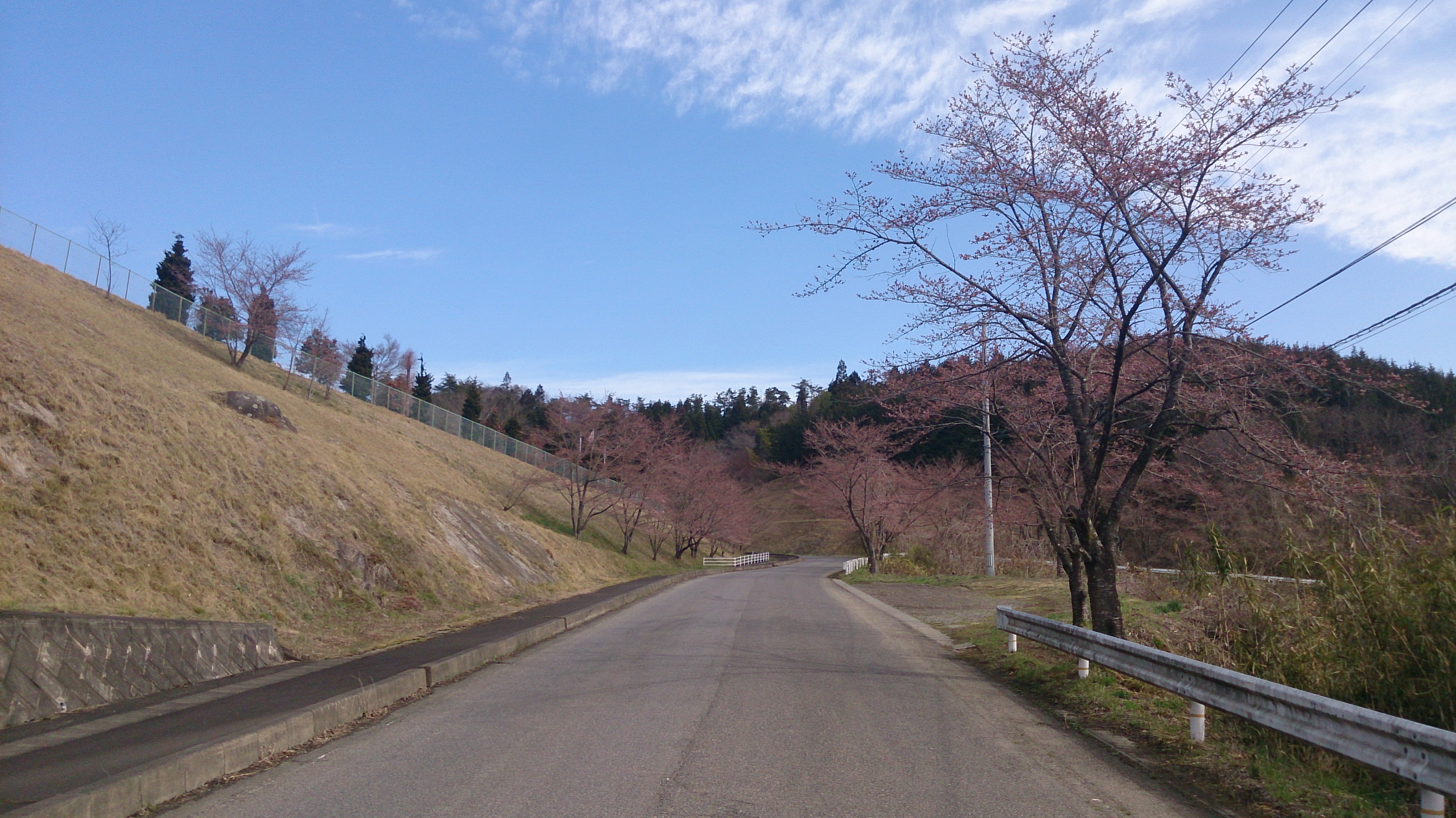 2017-04-20 10.20.59.jpg