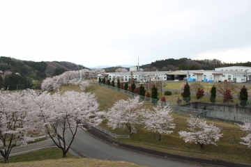 ブログ